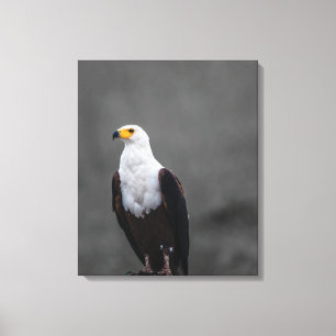 Eagle minimalistische selectieve kleurenfotografie canvas afdruk