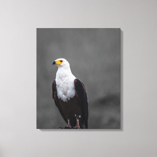 Eagle minimalistische selectieve kleurenfotografie canvas afdruk (Voorkant)