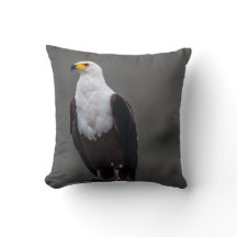Eagle minimalistische selectieve kleurenfotografie