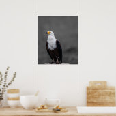 Eagle minimalistische selectieve kleurenfotografie poster (Keuken)