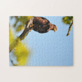Eagle Montana. Legpuzzel (Horizontaal)