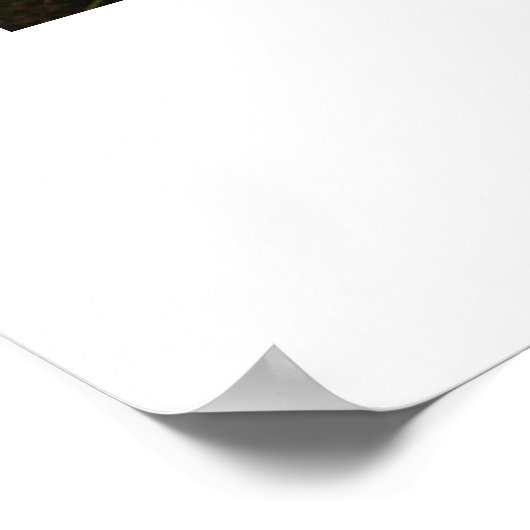 Eagle Monument Poster (Hoek)