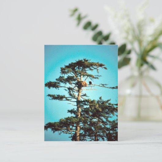 Eagle Nest Briefkaart (Staand voorkant)