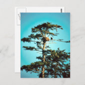 Eagle Nest Briefkaart (Voorkant / Achterkant)