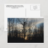 Eagle Nest Sunset Briefkaart (Voorkant / Achterkant)