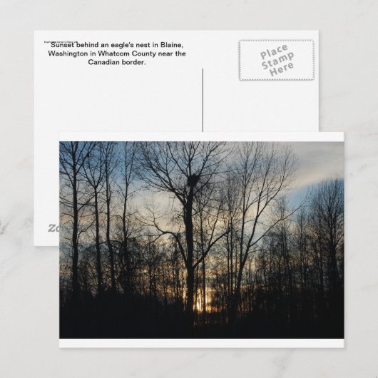 Eagle Nest Sunset Briefkaart (Voorkant / Achterkant)