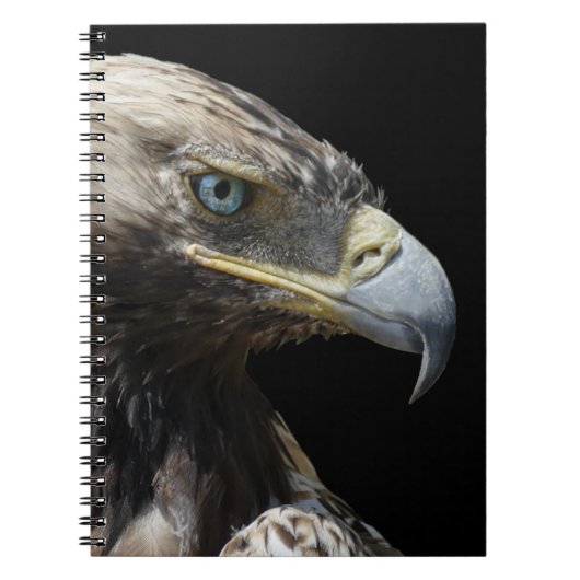 Eagle Notitieboek (Voorkant)