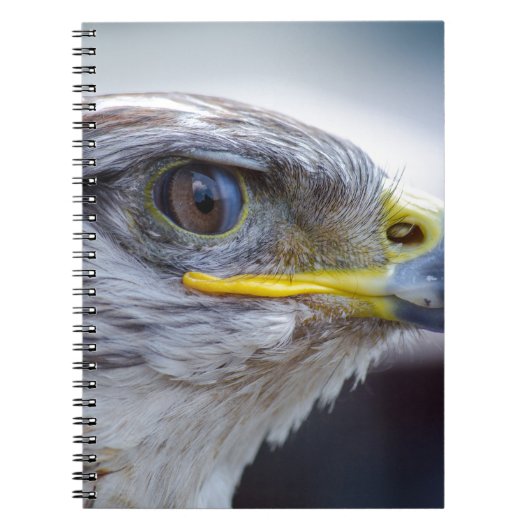 Eagle Notitieboek (Voorkant)