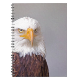 Eagle Notitieboek