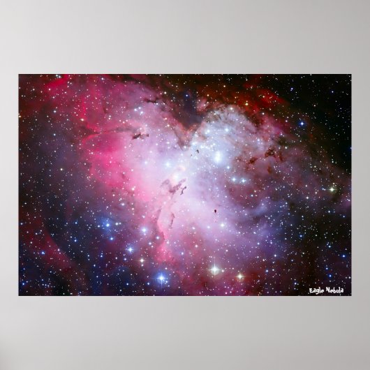 Eagle Nubla Poster (Voorkant)