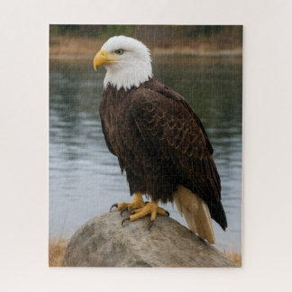 Eagle of the Quiet Shores Legpuzzel
