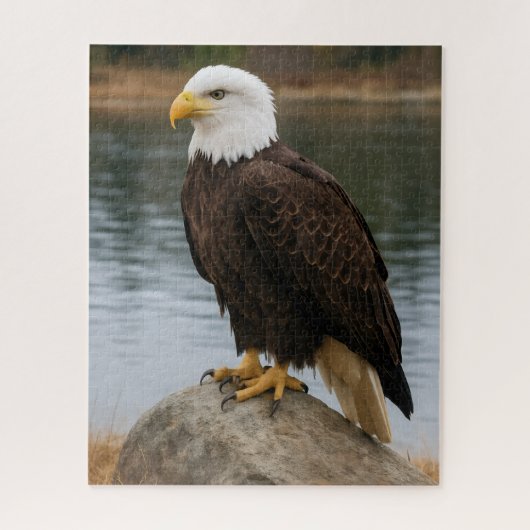 Eagle of the Quiet Shores Legpuzzel (Verticaal)