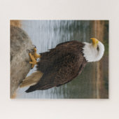 Eagle of the Quiet Shores Legpuzzel (Horizontaal)