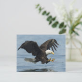 Eagle on Approach Briefkaart (Staand voorkant)