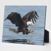 Eagle on Approach Fotoplaat (Zijkant)