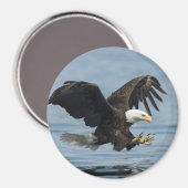 Eagle on Approach Magneet (Voorkant / Achterkant)