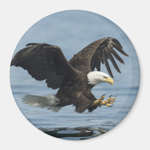 Eagle on Approach Magneet