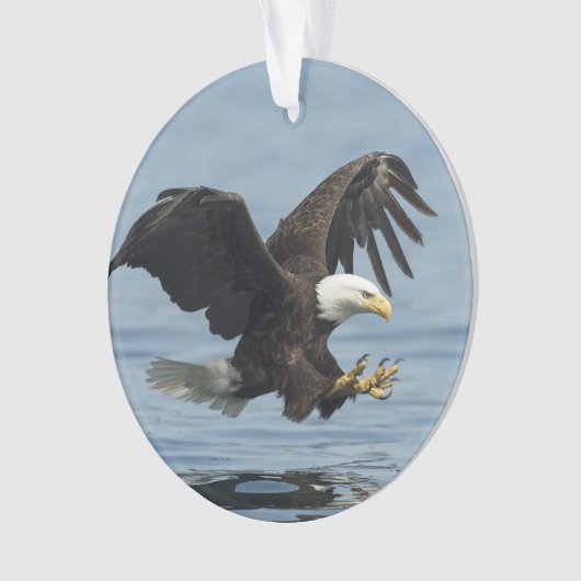 Eagle on Approach Ornament (voorkant)