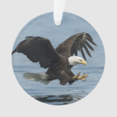 Eagle on Approach Ornament (voorkant)