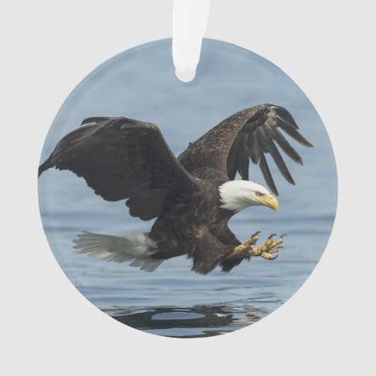 Eagle on Approach Ornament (voorkant)