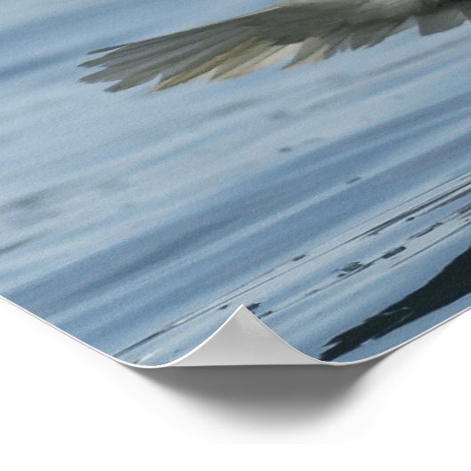 Eagle on Approach Poster (Hoek)