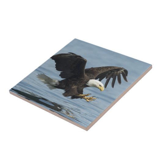 Eagle on Approach Tegeltje (Zijkant)