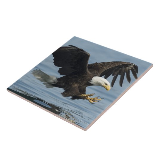 Eagle on Approach Tegeltje (Zijkant)