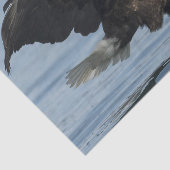 Eagle on Approach Tissuepapier (Detail)