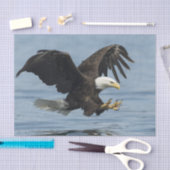 Eagle on Approach Tissuepapier (Craft)