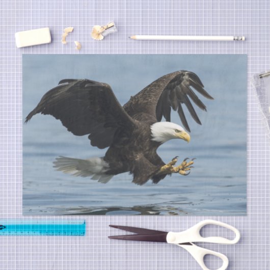 Eagle on Approach Tissuepapier (Craft)