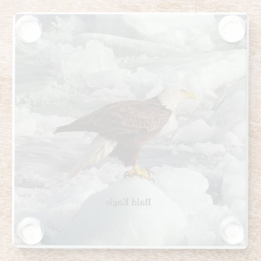 Eagle onderzetter (Achterkant)