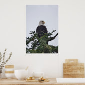 Eagle op boomtop afbeelding poster (Keuken)