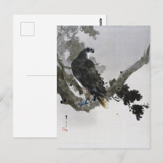 Eagle op de Pine Tree Branch, Watanabe Seitei Briefkaart (Voorkant / Achterkant)