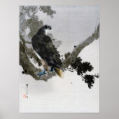 Eagle op de Pine Tree Branch, Watanabe Seitei Poster (Voorkant)