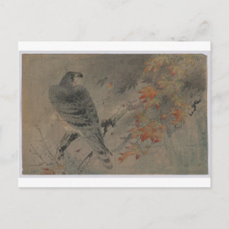 Eagle op een Maple Branch Briefkaart