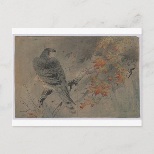 Eagle op een Maple Branch Briefkaart (Voorkant)