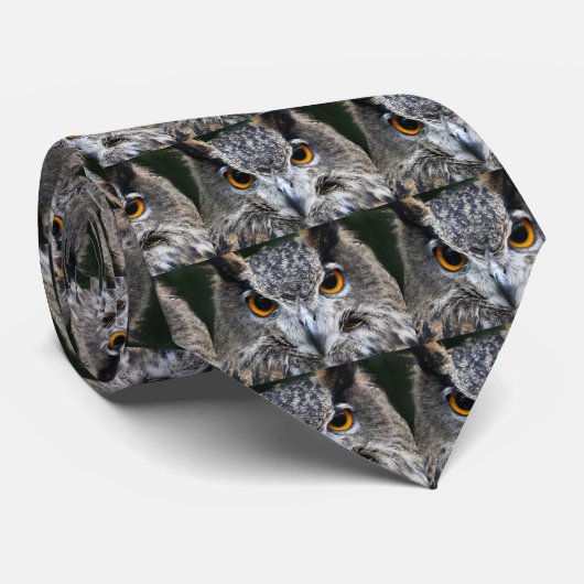 Eagle oranje stropdas (Opgerold)