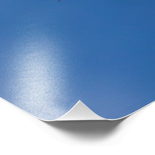 Eagle Overhead Foto Afdruk (Hoek)