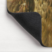 Eagle Owl and Cat with Dead Rats Muismat (Hoek)