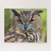 Eagle Owl-Bird of Prey. Legpuzzel (Horizontaal)