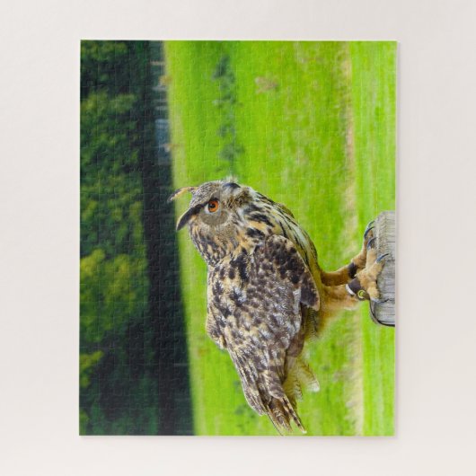 Eagle Owl-Bird of Prey. Legpuzzel (Verticaal)