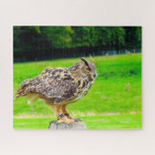 Eagle Owl-Bird of Prey. Legpuzzel (Horizontaal)