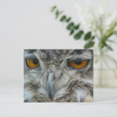 Eagle owl briefkaart (Staand voorkant)