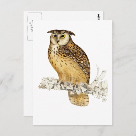 Eagle Owl Briefkaart (Voorkant / Achterkant)