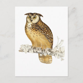 Eagle Owl Briefkaart