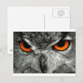 Eagle Owl Briefkaart (Voorkant / Achterkant)