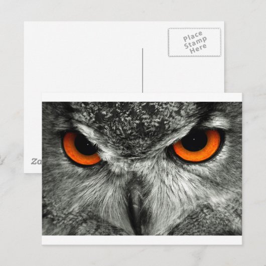 Eagle Owl Briefkaart (Voorkant / Achterkant)