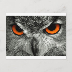Eagle Owl Briefkaart