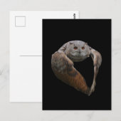 Eagle Owl Briefkaart (Voorkant / Achterkant)