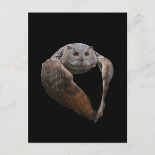 Eagle Owl Briefkaart (Voorkant)
